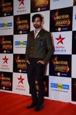at Big Star Awards in Mumbai on 13th Dec 2015